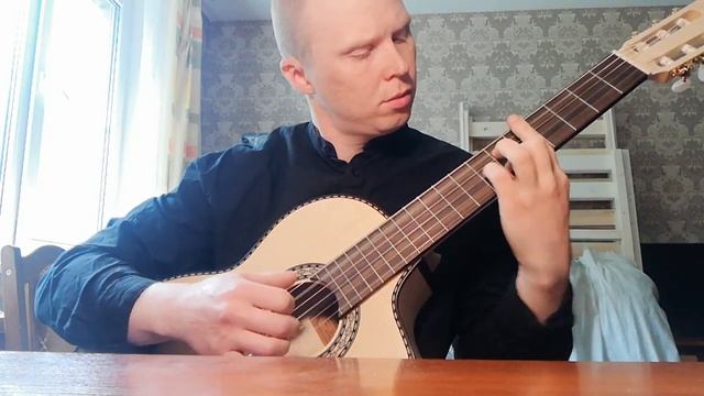 Л.В. Бетховен - лунная соната(разучиваю) смотреть онлайн