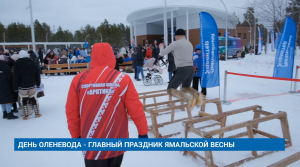 ДЕНЬ ОЛЕНЕВОДА - ГЛАВНЫЙ ПРАЗДНИК ЯМАЛЬСКОЙ ВЕСНЫ