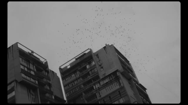 [FREE] - Масло Черного Тмина Type Beat - "Black Soul" | Free Type Beat | NER Beats смотреть онлайн