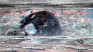 Подземный Саратов