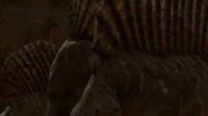 История млекопитающих