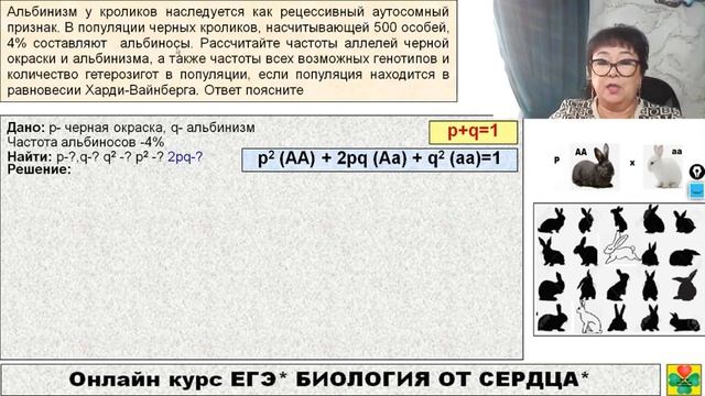 РЕШЕНИЕ ЗАДАЧИ ЛИНИИ 27 НА УРАВНЕНИЕ ХАРДИ-ВАЙНБЕРГА смотреть онлайн