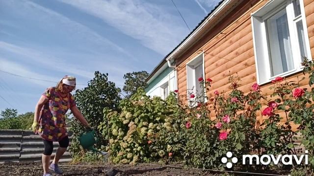 ОСЕННЯЯ ПОСАДКА ТЮЛЬПАНОВ. смотреть онлайн