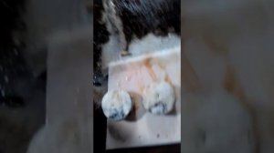 мойка поршней бензином и азелитом результат на лицо