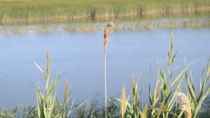 Захаровское сельское поселение