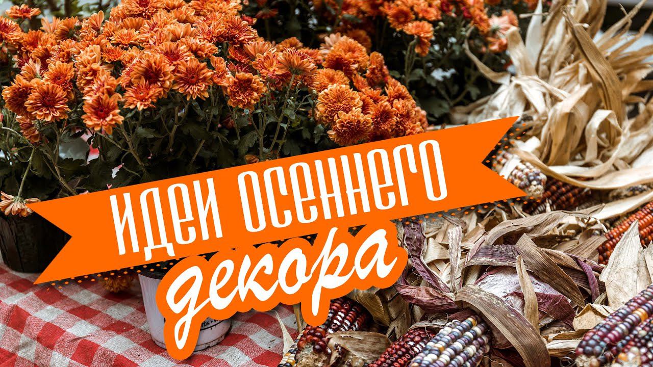 DIY Осенний декор своими руками/ Декоративный фонарь/ Лошадь с тыквами в телеге/ Эко-подсвечник