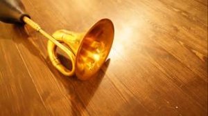 Монтаж доски пола из сосны с покрытием маслом Remmers — Лесобаза.рф