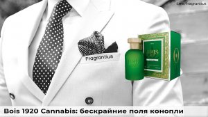 Bois 1920 Cannabis: бескрайние поля конопли