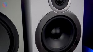 Q Acoustics: 3030 vs Monitor Audio: Bronze 100