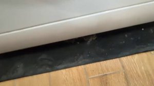 vmuf 501 b - 20 января 2024 г.