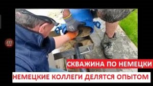 Как бурят абиссинки в Германии.