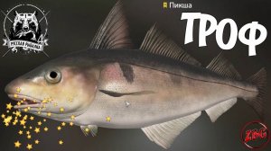 ПИКША - ТРОФ - НОРВЕЖСКОЕ МОРЕ  РУССКАЯ РЫБАЛКА 4 | RUSSIAN FISHING 4@Z-B-G 