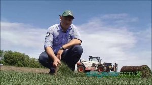 Характеристики рулонного газона SagamaGreen.