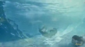 ДЕЛЬФИН  БАНД ОДЕССА