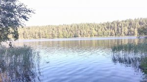 Как достать камеру со дна озера? Утопил GoPro 9 black