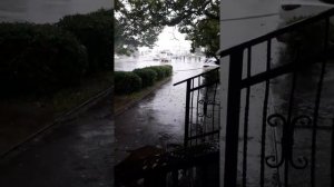 Тайфун во Владивостоке 26 июня 2020г.