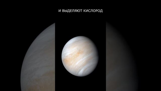 ВЕНЕРА. Вторая Земля?