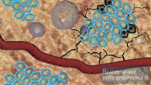 Реактанты острой фазы смотреть онлайн