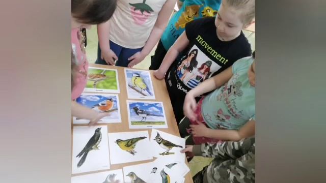 день птиц,группа 4 смотреть онлайн