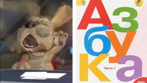 Бен оценивает книги