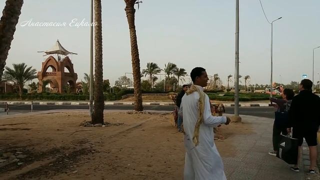 Египетские НЕ приставалы: «ДАВАЙ, давай…» смотреть онлайн