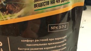 Клубника весной:  уход, подкормки, посадка и обработка от вредителей и болезней