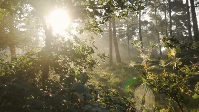 Dhan Dhan Baba Siri Chand Sahib | My Mind is Thine | by Jivan Mukta смотреть онлайн