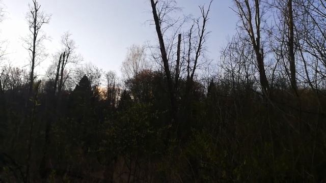 Охота за голосами КРАПИВНИК смотреть онлайн