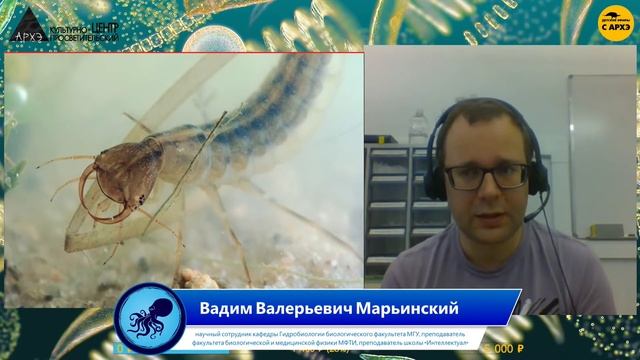 Детский эфир "Самые опасные-3" рубрики "Экология беспозвоночных" с Вадимом Марьинским