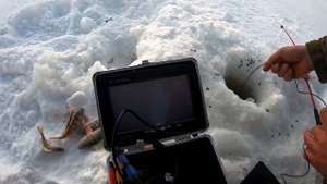 Подводная камера для рыбалки. Мутная река