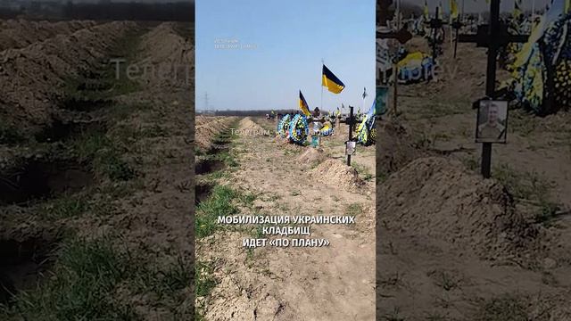 «Вот вам мобилизация»: украинка на кладбище комментирует новый закон, принятый Верховной Радой