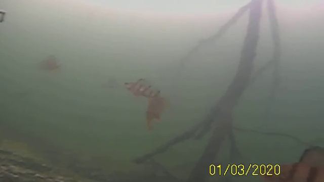 Камера Калипсо(Calepso) смотреть онлайн