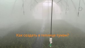 Как в теплице создать туман? Мое решение этой проблемы!
