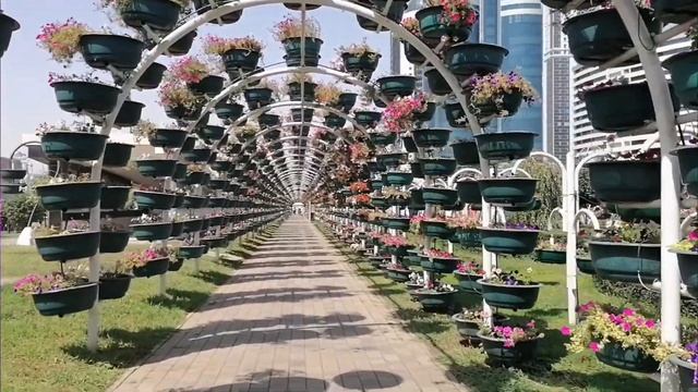 Чечня Грозный Аргун. Черноречье поющие фонтаны. мечеть Сердце Чечни путешествие без денег по Кавказ