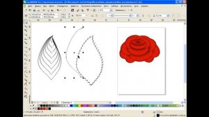 Рисуем розы в CorelDRAW