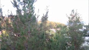 Турция Отель Перре  Ля Мер Perre La Mer Отзыв - часть 1