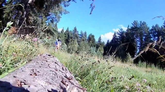 Прыжки через бревно смотреть онлайн