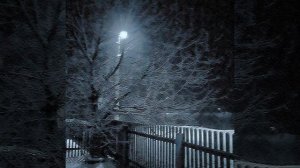 песня называется~ КАК У НИКИ~