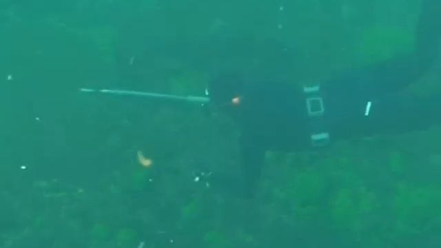 Подводная охота зимой Александр Кочубей / Ангара День 2 / Angara River episode 2 смотреть онлайн