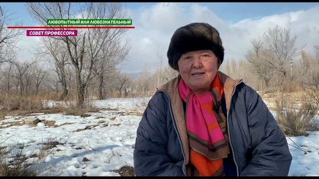 Какая разница между любопытным или любознательным