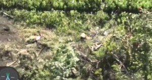 🔴укронацики, ДОБРО ПОЖАЛОВАТЬ В АД🔴Около 10 хряков отправились кормить червей🔴