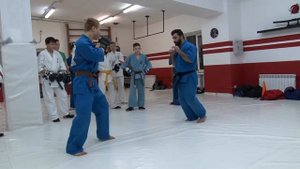Кудо. Мастер класс Эдгара Коляна.