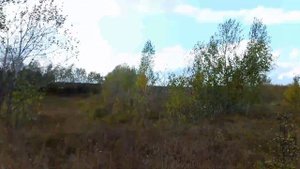 Прогулка на мотовездеходе Скаут-3 по запрещенному лесу