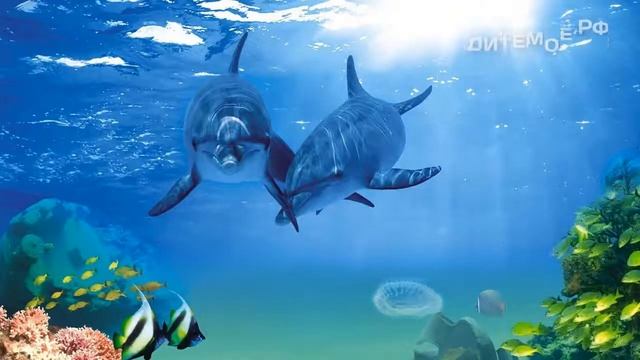 Дельфин. Энциклопедия для детей про животных. Море смотреть онлайн