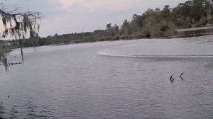 First Speed Run With Oxidean Big Block Upgraded Proboat UL-19 - Smc