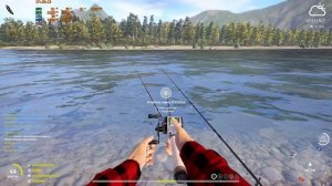 РР4 РЫБАЛКА НА РЕКЕ ЯМА,  МАХ,ДОНКА И СПИНИНГ ЛАЙТ