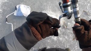 Весенняя Рыбалка на льду, чудское озеро 06.03.2022