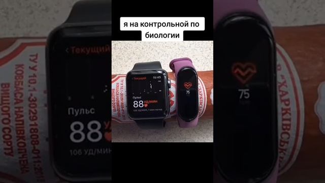 1000003760.mp4