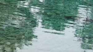 Софийская поляна и озеро Орленок | Походы в Архызе 2022 | Часть 2