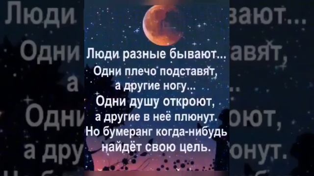 Любите и будьте любимы!!! ❤️❤️❤️❤️